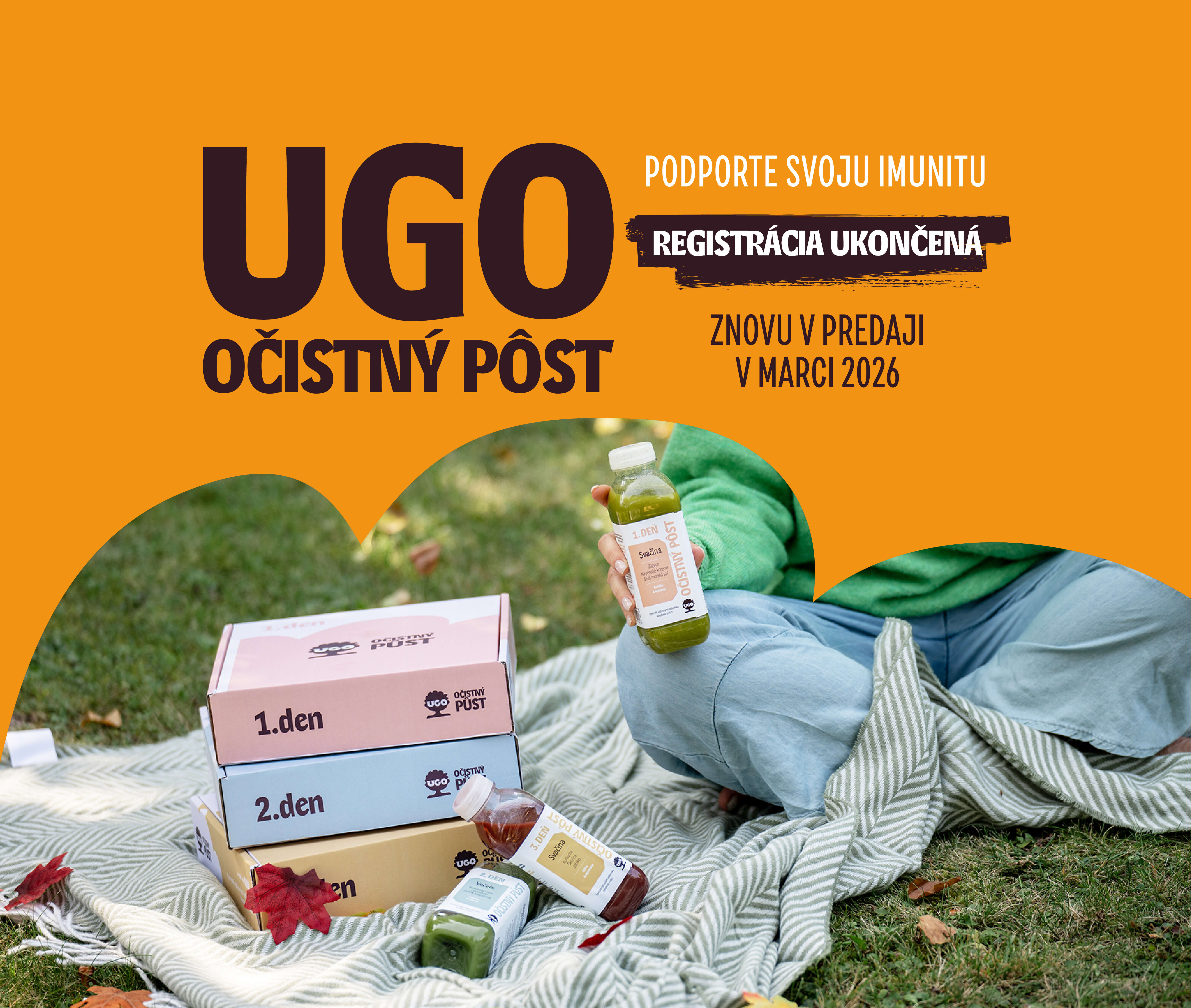 showcase--tablet--portrait